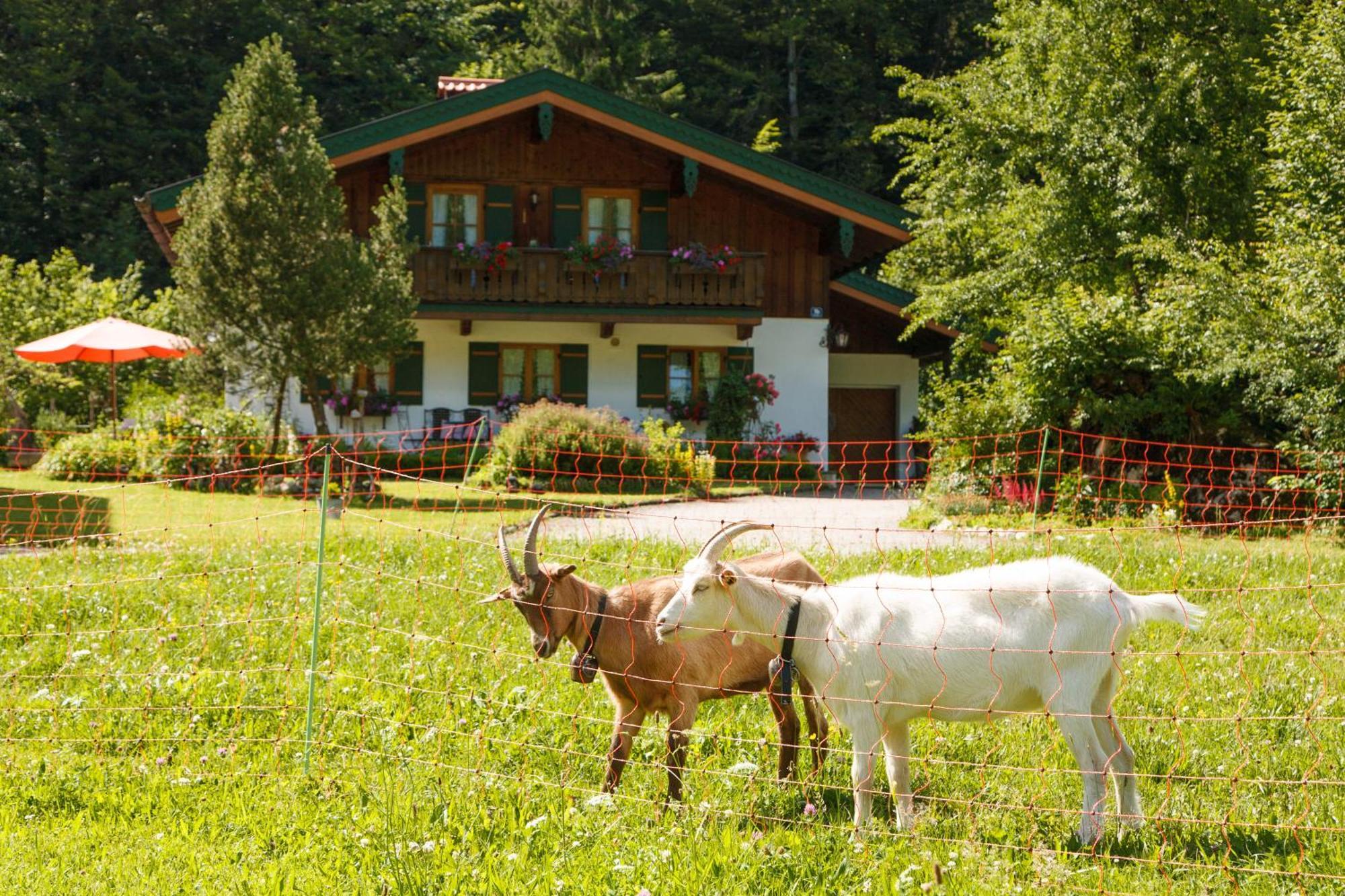 Ferienwohnung Hinterreiter Ruhpolding Exterior foto